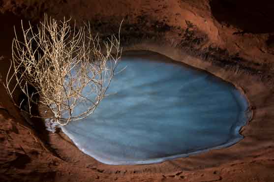 Tumbleweed near a frozen puddle in the sandstone in the high desert of northern Arizona