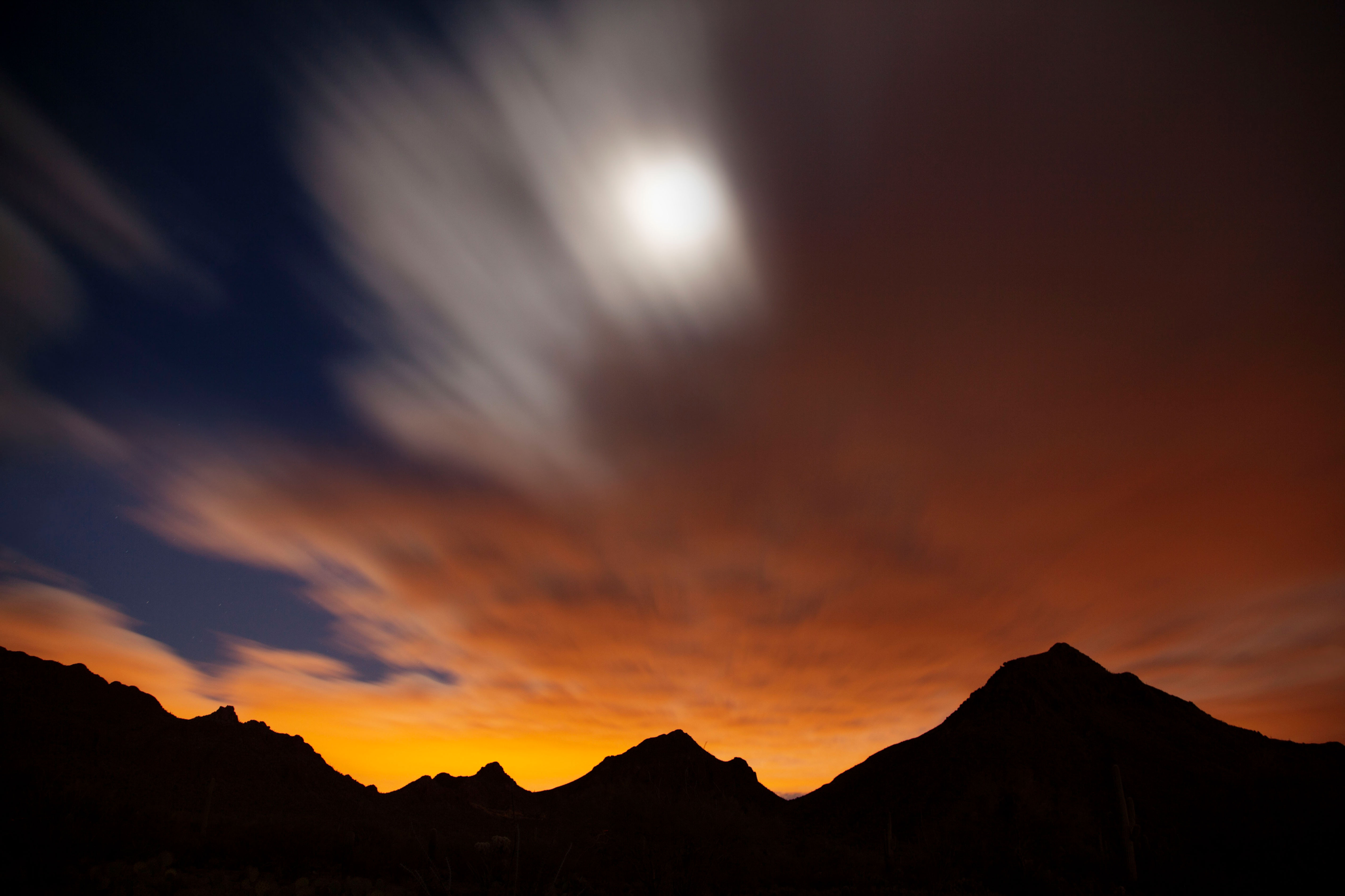 The night sky at Tucson Mts., Arizona (Saguaro National Park West)