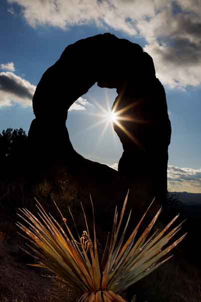 Granite arch and yucca plants in the Arrastra Mountain Wilderness, located in the Poachie Range of western Arizona.