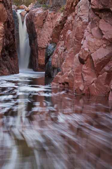 Ellison Creek, Arizona