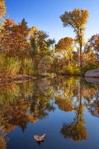 Autumn at Ellison Creek (the "Water Wheel" area) north of Payson, Arizona