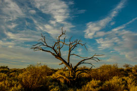 The dry Gila Riverbed south of Phoenix, Arizona