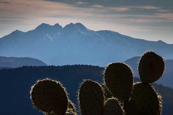 Looking from McFadden Peak in the Sierra Ancha south toward Four Peaks in the Mazatzal Mts. In the foreground are some Prickly Pear cactus.
