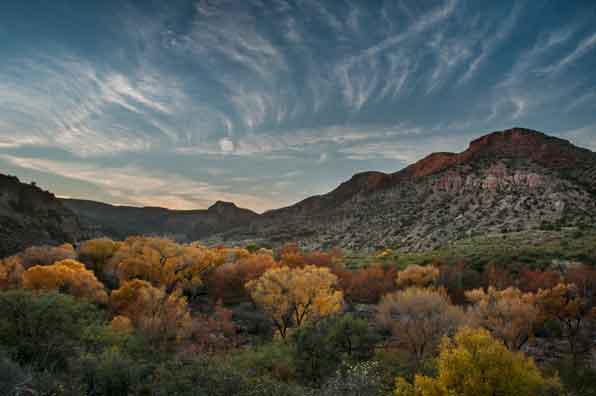 Autumn at Sycamore Canyon, Arizona