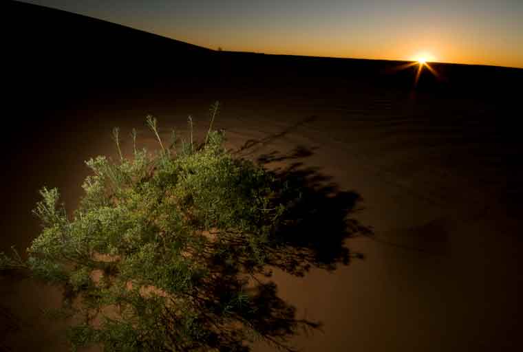 Sunset at a sand dune in the high desert near the Navajo community of Kaibito , Arizona