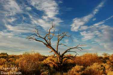 The dry Gila Riverbed south of Phoenix, Arizona