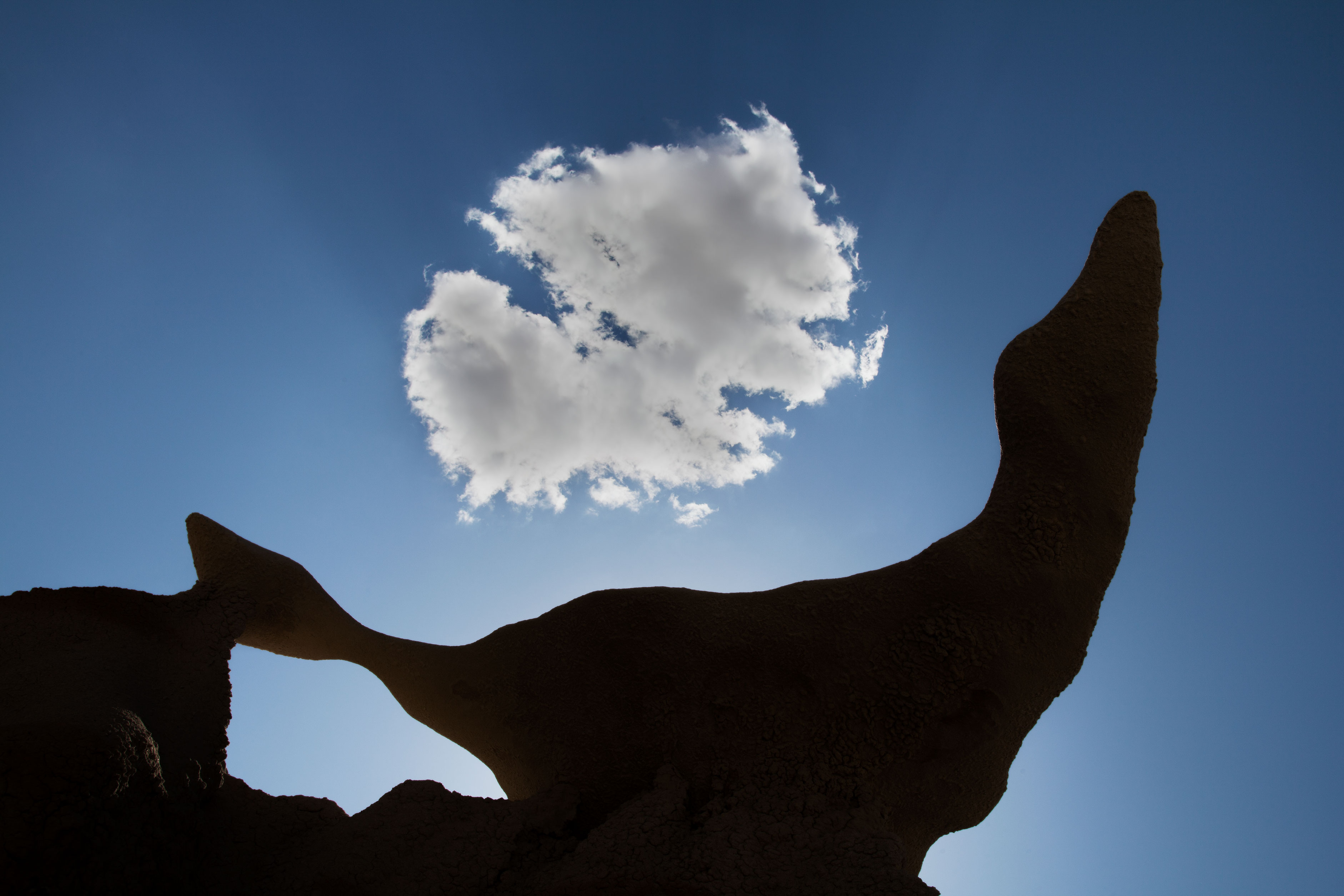 "The Seal" 100% natural rock formation with cloud in the desert at the Bisti Badlands, New Mexico