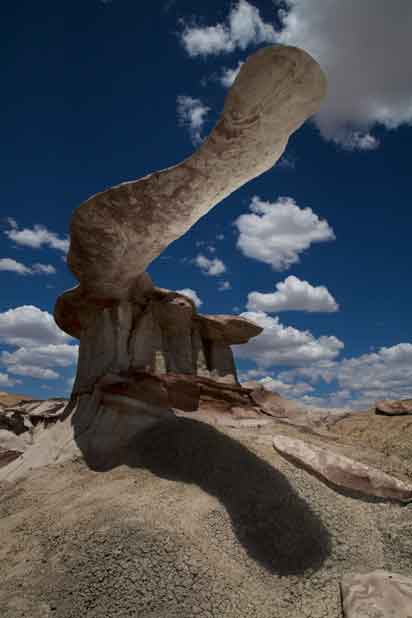 The "King of Wings" rock formation at the Ah-Shi-Sle-Pah Wilderness Study Area, New Mexico