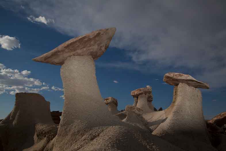 "Mushroom" rock formations in the Bisti Badlands, New Mexico