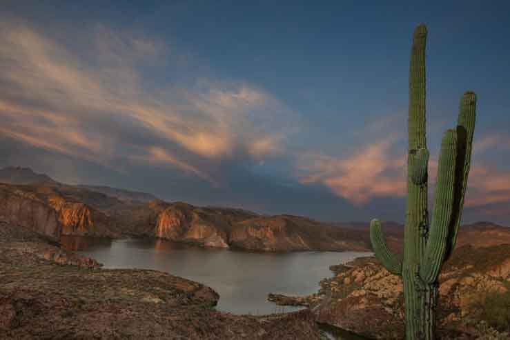 A saguaro cactus high above Canyon Lake, Arizona

