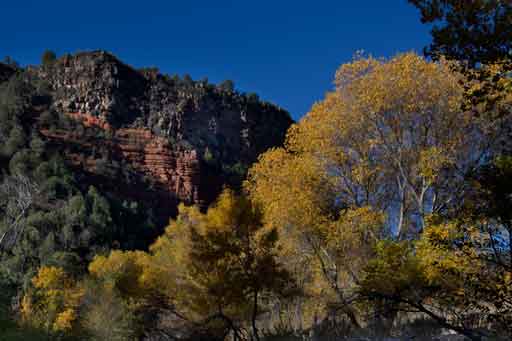 Photographs of Carrizo and Corduroy Creeks on the Fort Apache Reservation in eastern Arizona