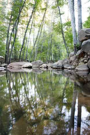 Christopher Creek at the Mogollon Rim, Arizona
