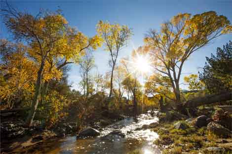 Late afternoon along Cienega Creek on the Prescott National Forest, central Arizona.