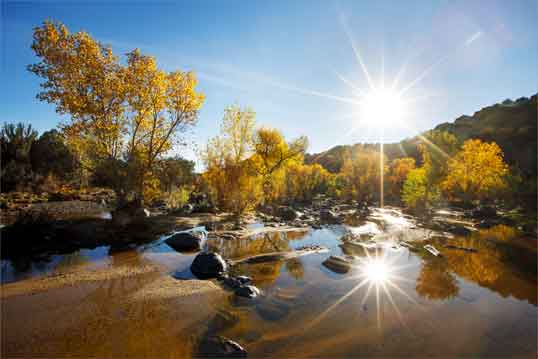 Late afternoon along Cienega Creek on the Prescott National Forest, central Arizona.