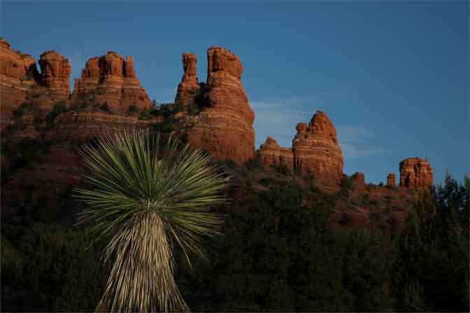 Yucca beneath the Cockscomb red rock formation on the Coconino National Forest, Arizona (west of Sedona).