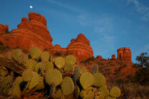 Near the top of the Cockscomb rock formation on the Coconino National Forest, Arizona (west of Sedona).