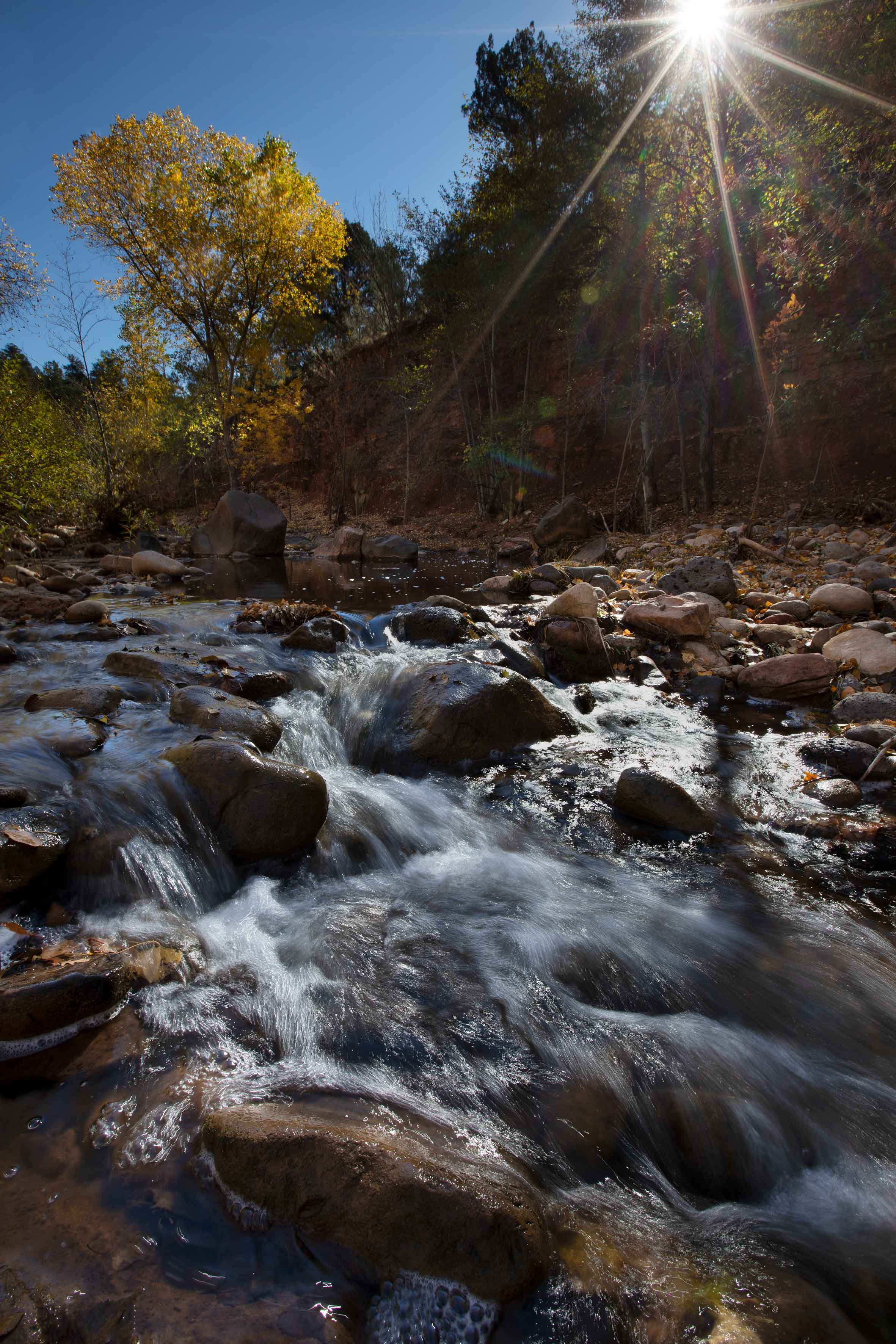 Autumn at Corduroy Creek on the Fort Apache Reservation in eastern Arizona