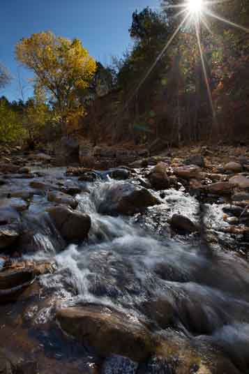 Autumn at Corduroy Creek on the Fort Apache Reservation, Arizona