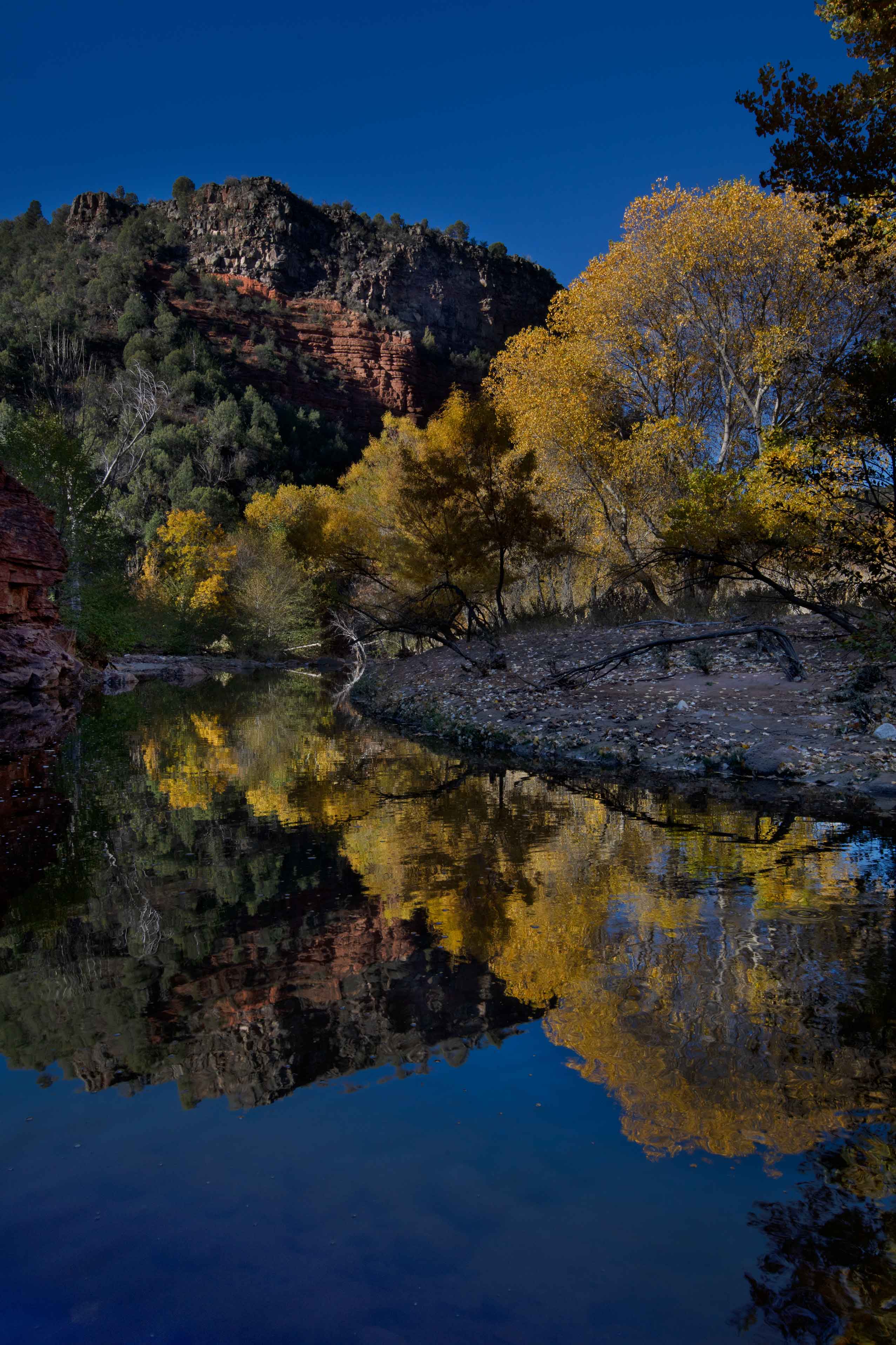 Autumn at Corduroy Creek on the Fort Apache Reservation in eastern Arizona