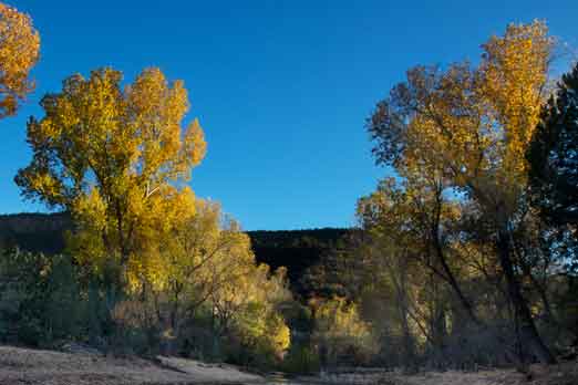 Photographs of Carrizo and Corduroy Creeks on the Fort Apache Reservation in eastern Arizona