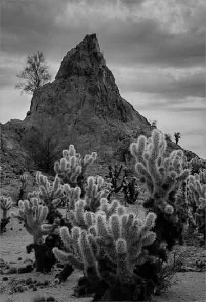 The Crater Range in southern Arizona.