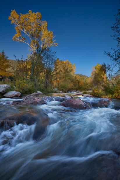 Autumn at Ellison Creek, a tributary of the East Verde River, Arizona (aka the "Water Wheel" area)