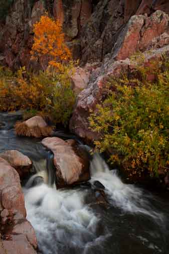 Autumn at Ellison Creek, Arizona (the Water Wheel area just upstream from the East Verde River)