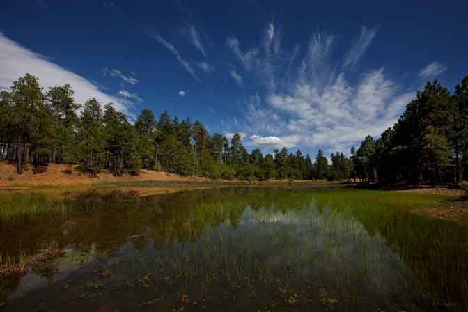 One of nine small marshy ponds that collectively make up the Hidden Lakes atop the Mogollon Rim in northern Arizona.
