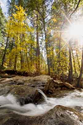 Autumn along Horton Creek at the Mogollon Rim, Arizona.