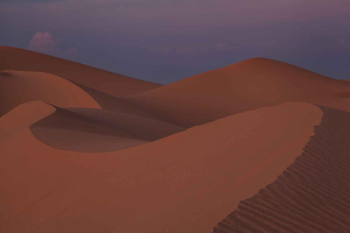 Imperial Sand Dunes (a.k.a., Glamis Dunes or Algodones Dunes) in the southern California desert