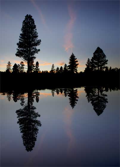 A creek fed by Isham Spring, just west of Garland Prairie, northern Arizona.