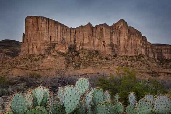 Prickly Pears beneath Shiprock, not too far from the Joshua Tree Parkway in the southern Arizona desert