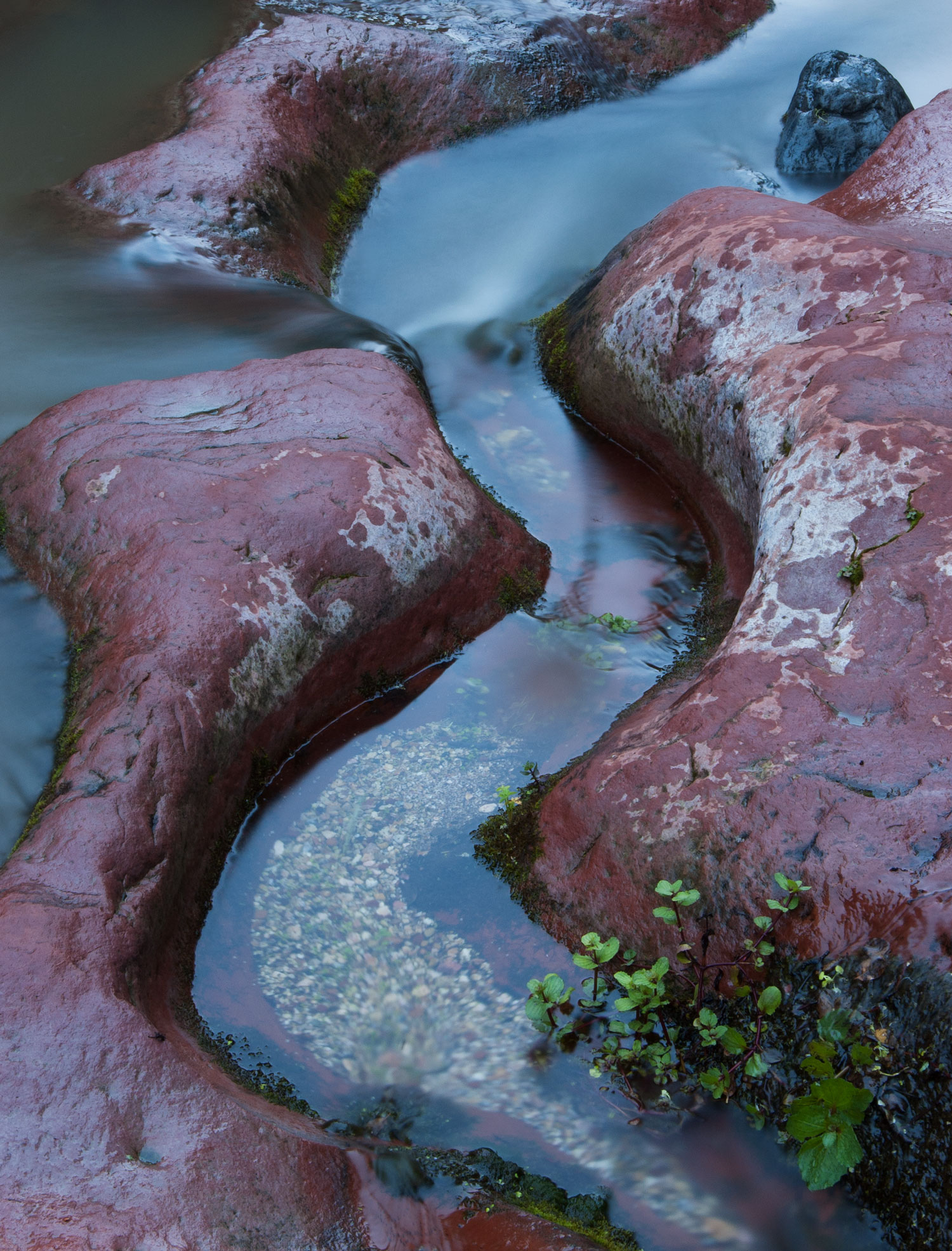 Oak Creek in the red rock country near Sedona, Arizona