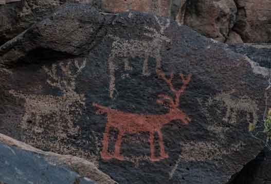 Ancient Native American petroglyphs on Perry Mesa including a rare image of a deer painted
red (most painted petroglyphs left in the open air and sun fade away over the centuries).