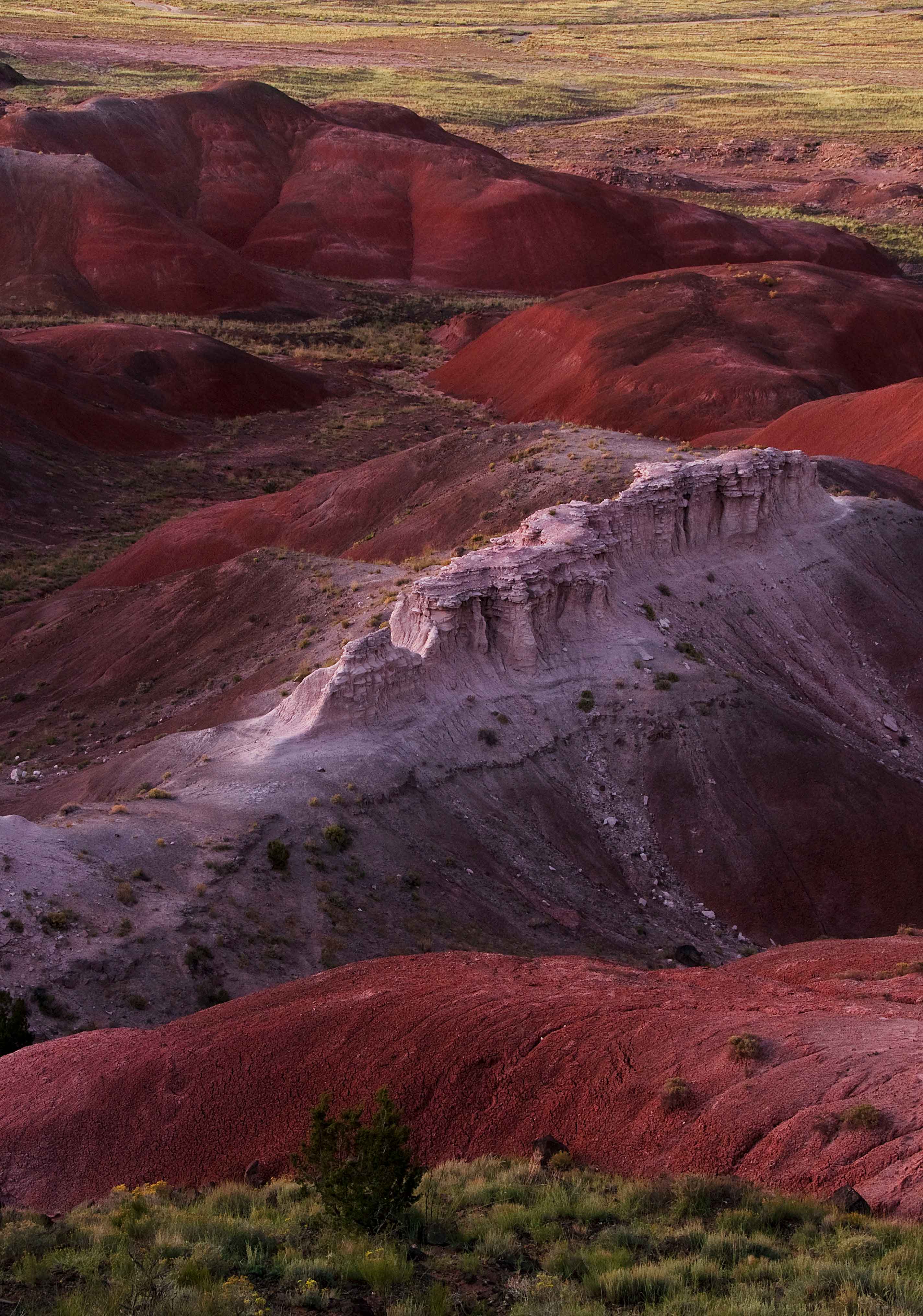The Painted Desert at Petrified Forest National Park in northern Arizona