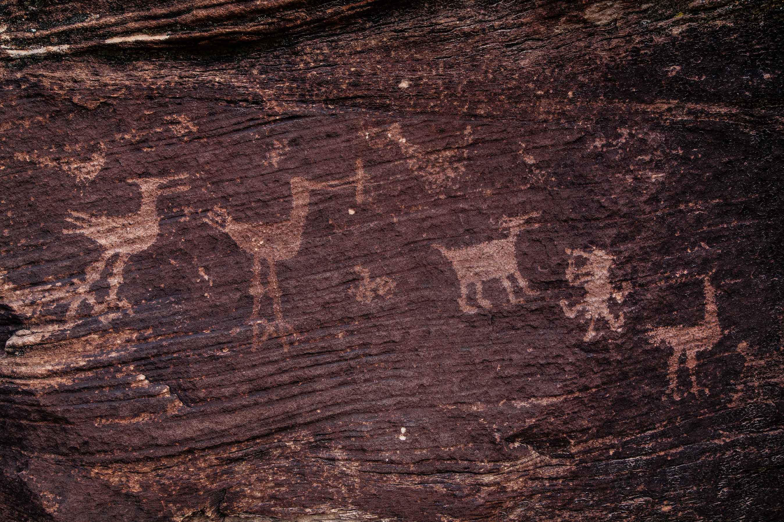 Ancient Ancestral Pueblo petroglyphs along the Puerco River, Arizona.
