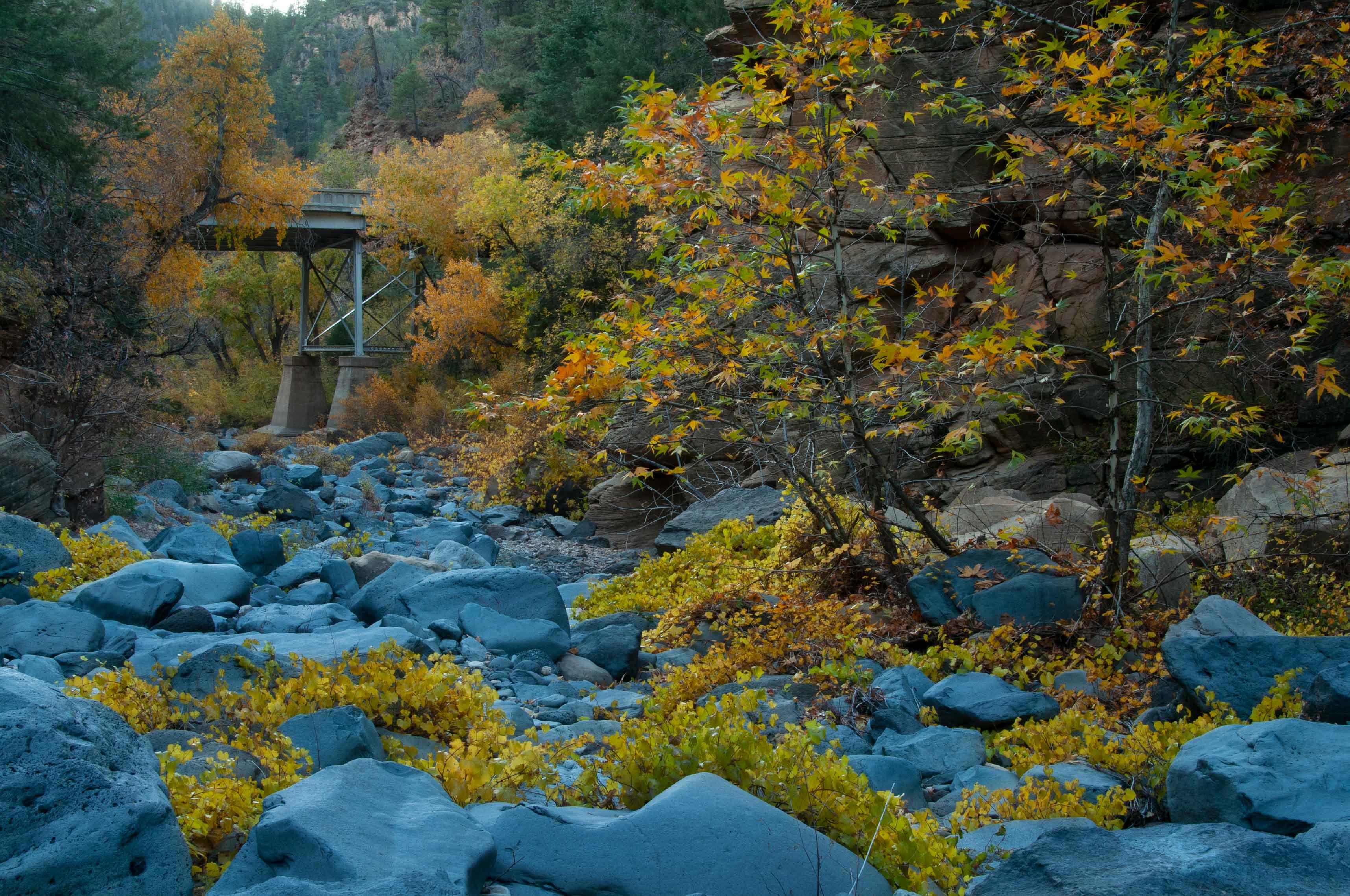 Autumn at Pumphouse Wash, a tributary of Oak Creek, Arizona (near Sedona)