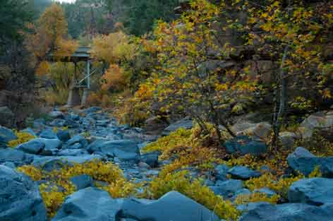 Autumn in Pumphouse Wash, a tributary of Oak Creek, Arizona (Sedona region)