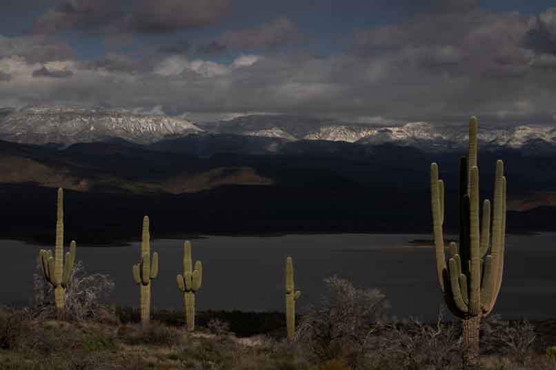 Looking from the Mazatzal Mts. across Roosevelt Lake to the snow-capped Sierra Ancha in southern Arizona.