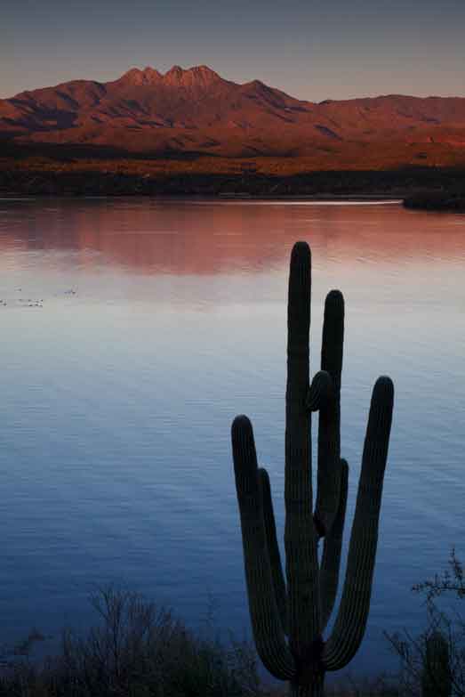 Saguaro Lake, Arizona