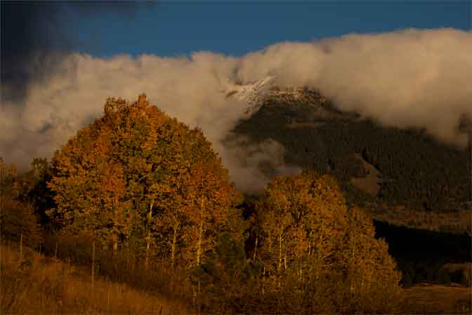 Autumn at Hart Prairie in the San Francisco Peaks, Arizona. Humprey's Peak looms overhead but is obscured by clouds.