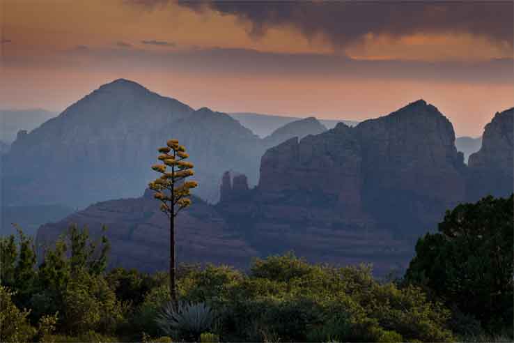 From the Schnebly Hill area looking west toward Sedona, Arizona.