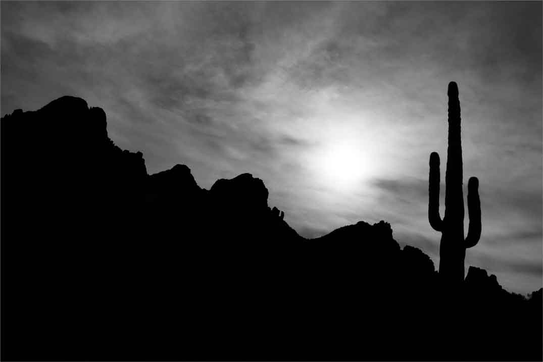 Saguaro cactus beneath the Ragged Top formation in the Silverbell Mts. at Ironwood Forest National Monument, Arizona.
