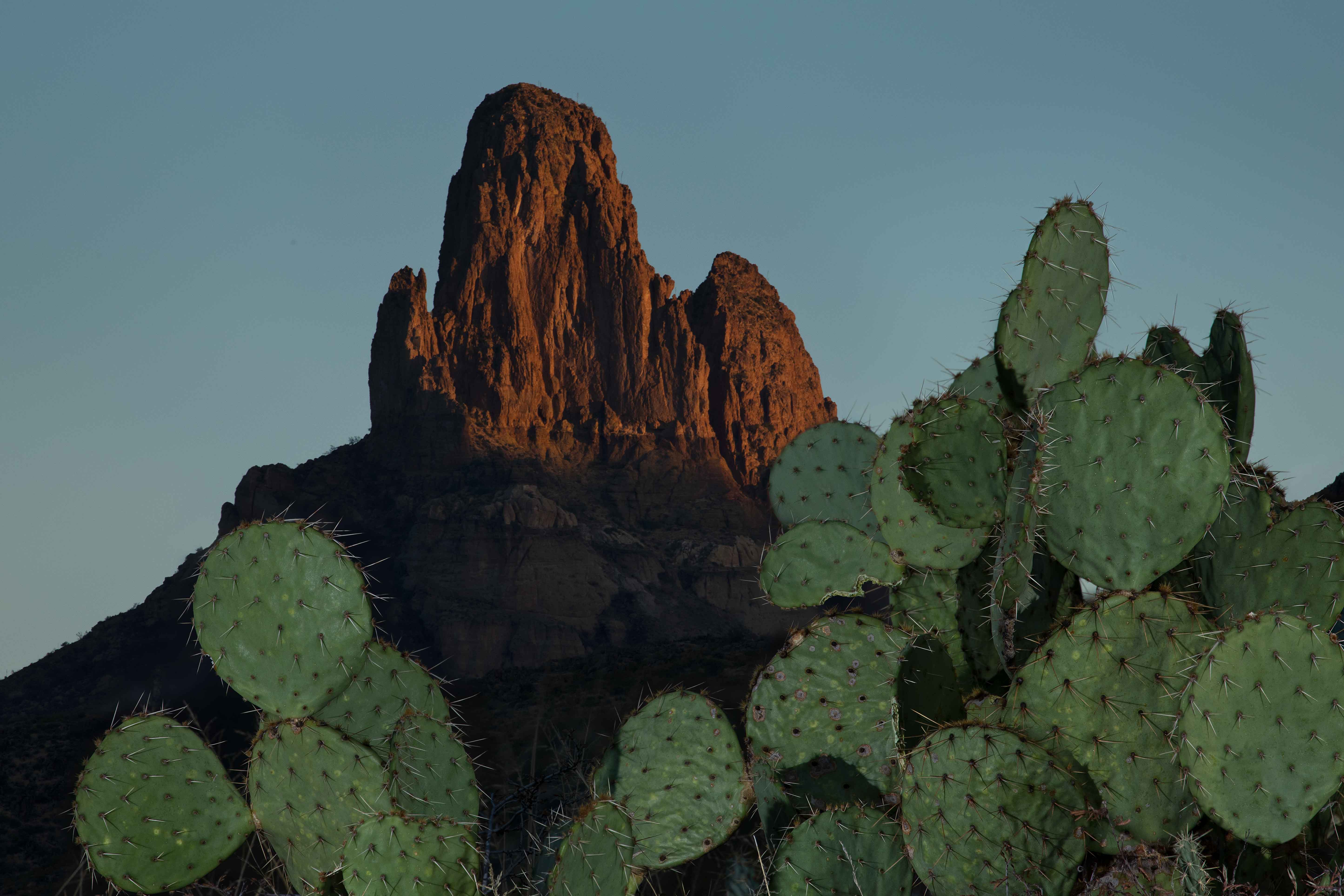 The Weaver's Needle rock formation towers over prickly pear cactus in the Superstition Mts. in the Arizona desert