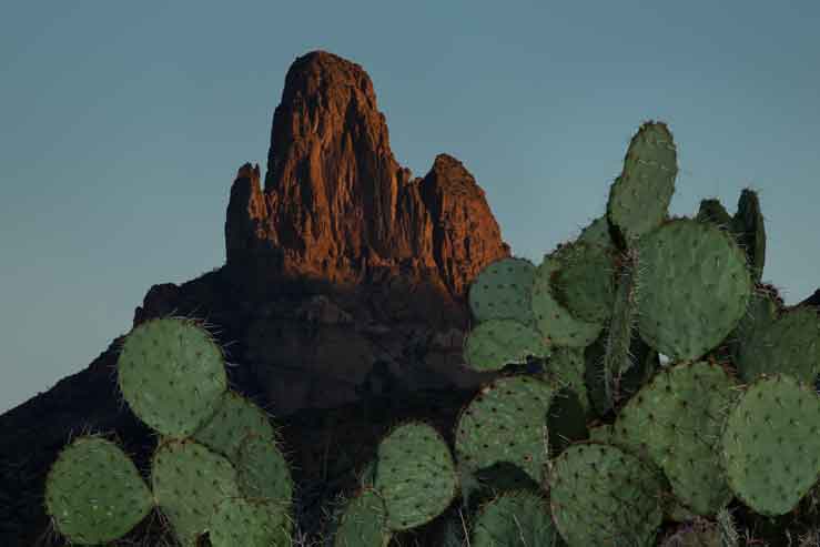 The Weaver's Needle rock formation looms over prickly pear cactus in the Superstition Mts. in the Arizona desert