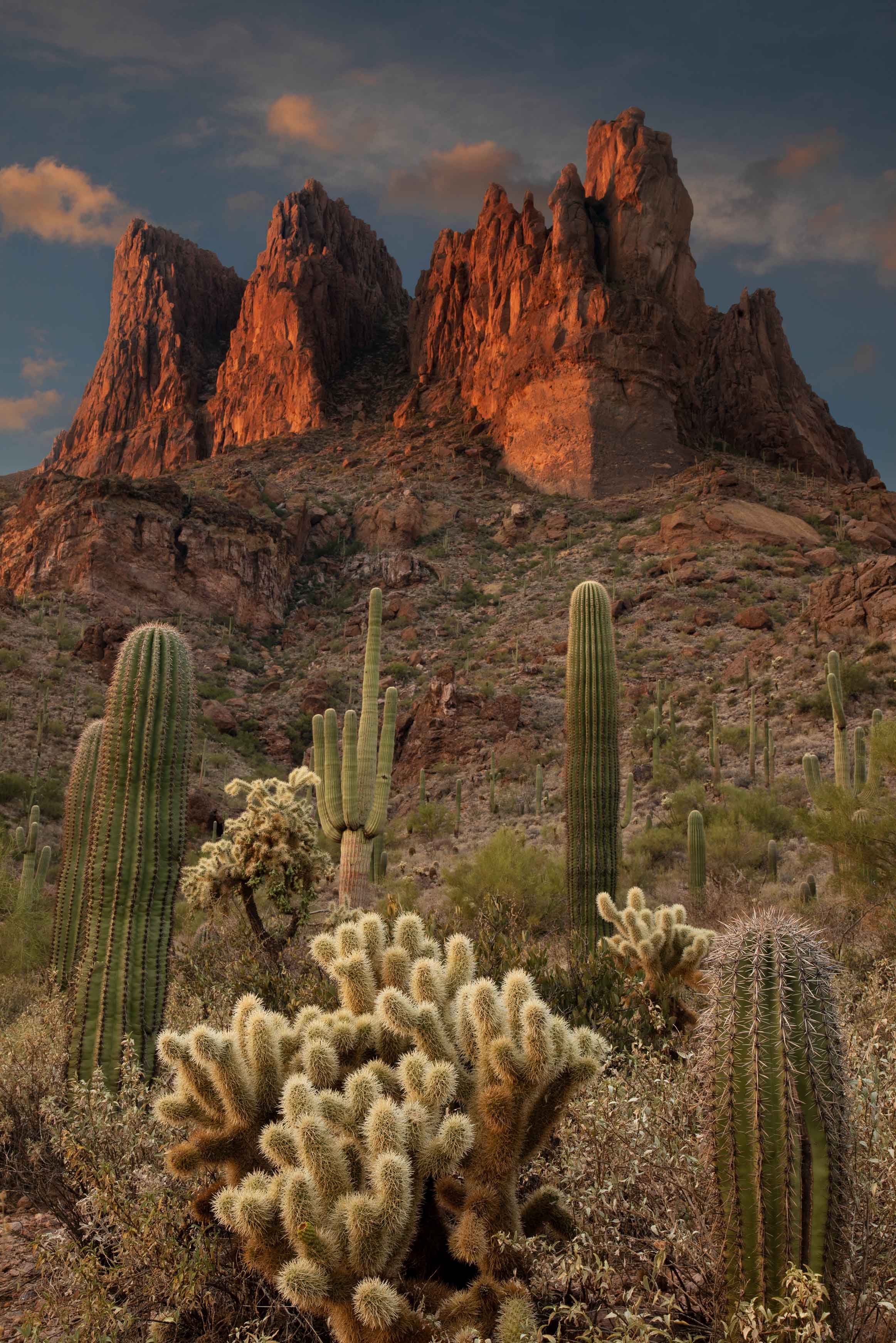 Saguaros and cholla beneath the Three Sisters rock formation in the Superstition Mts., Arizona
