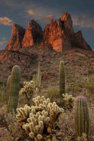 Saguaros and cholla cacti beneath the Three Sisters rock formation in the Superstition Mts. of southern Arizona.