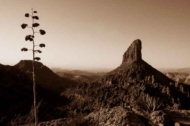 Weaver's Needle and a century plant in the Supersition Mts. in the Arizona desert