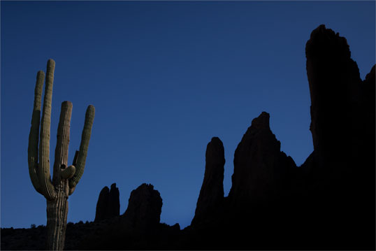 At the edge of Arizona's Superstition Wilderness. The spire nearest to the saguaro is the Praying Hands rock formation.
