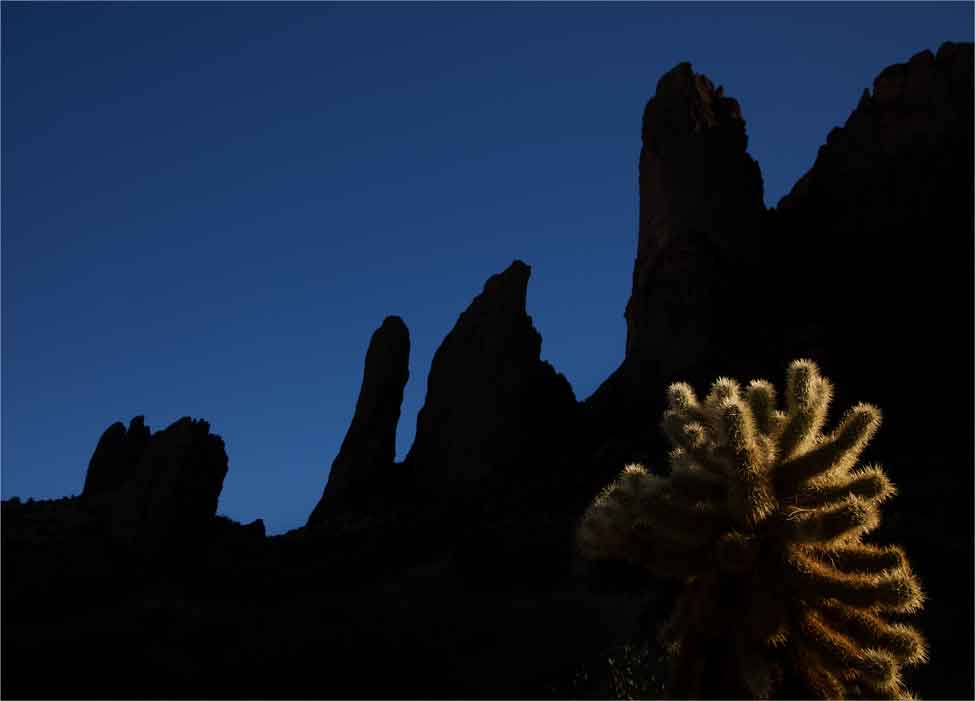A cholla cactus beneath the Praying Hands rock formation in the Supersition Mts. of southern Arizona.